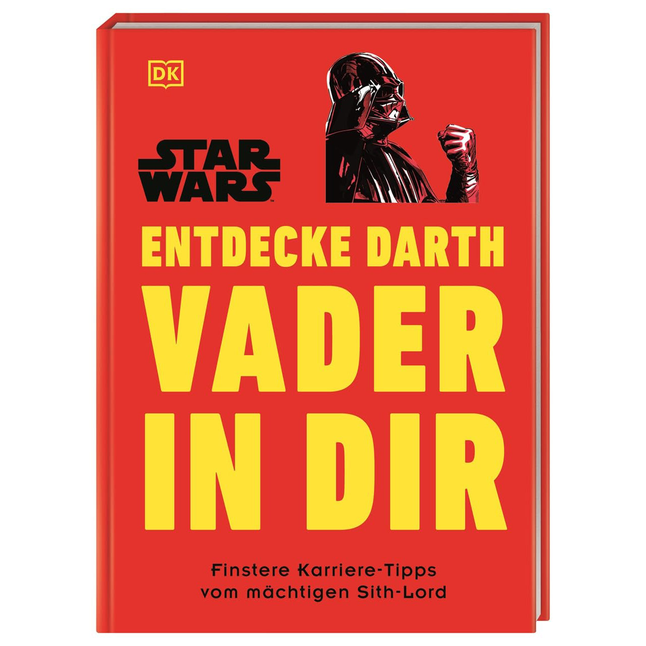 Star Wars Entdecke Darth Vader in dir Finstere Karriere Tipps