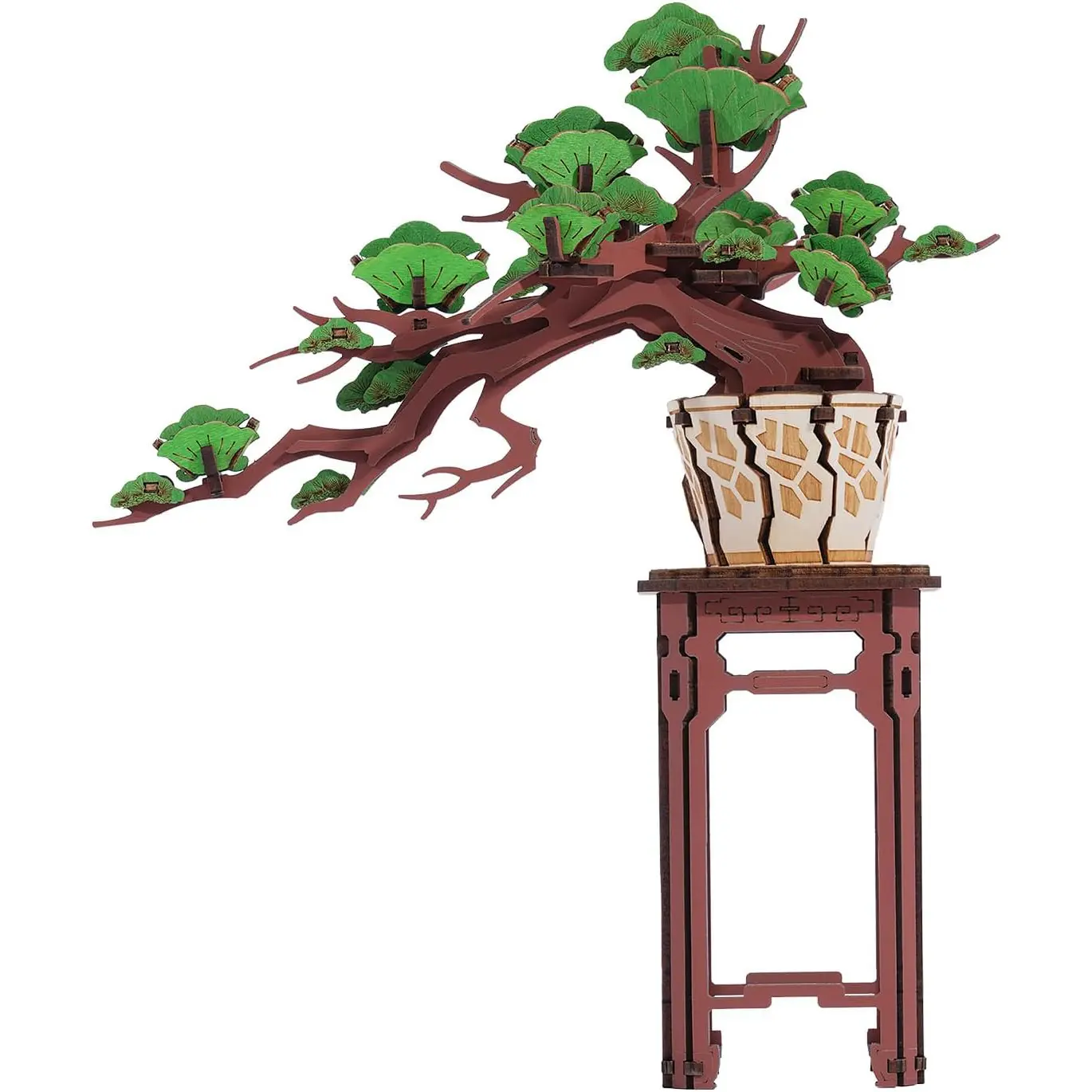 Immergrüner Kiefernbonsai Holzbausatz